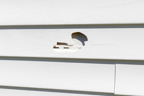 Best Storm Damage Siding Repair  in Saukville, WI